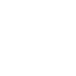 Schlegel Logo